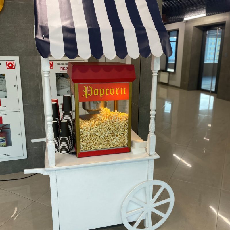 брендированный попкорн бар