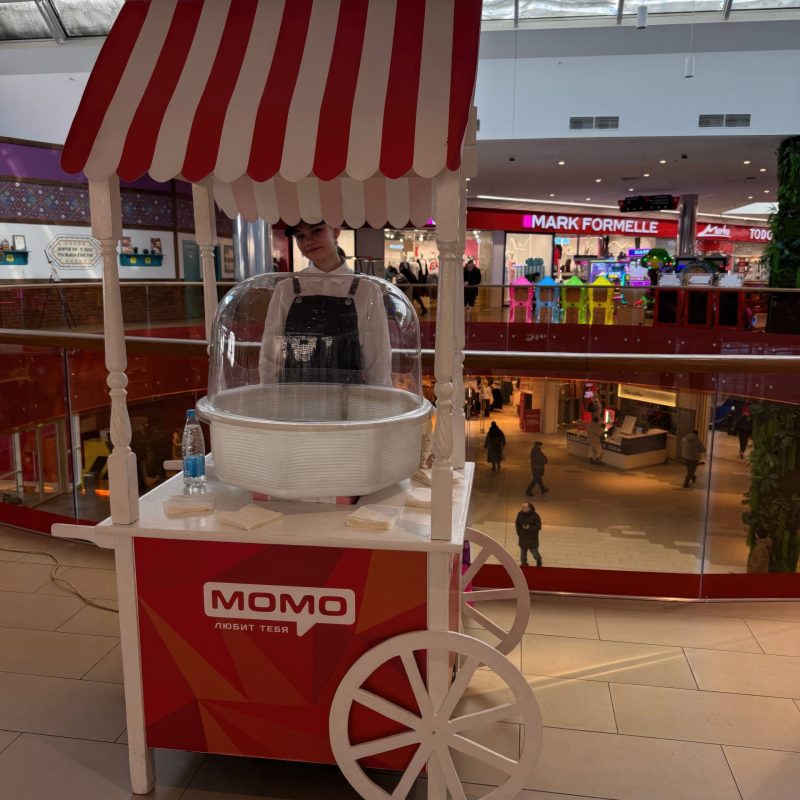 сладкая вата с логотипом